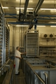 DIFERENCIAIS ELÉCTRICOS DE CORRENTE EM AÇO INOX DIFERENCIAIS ELÉCTRICOS DE CORRENTE EM AÇO INOX