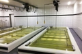 DIFERENCIAIS ELÉCTRICOS DE CORRENTE EM AÇO INOX DIFERENCIAIS ELÉCTRICOS DE CORRENTE EM AÇO INOX